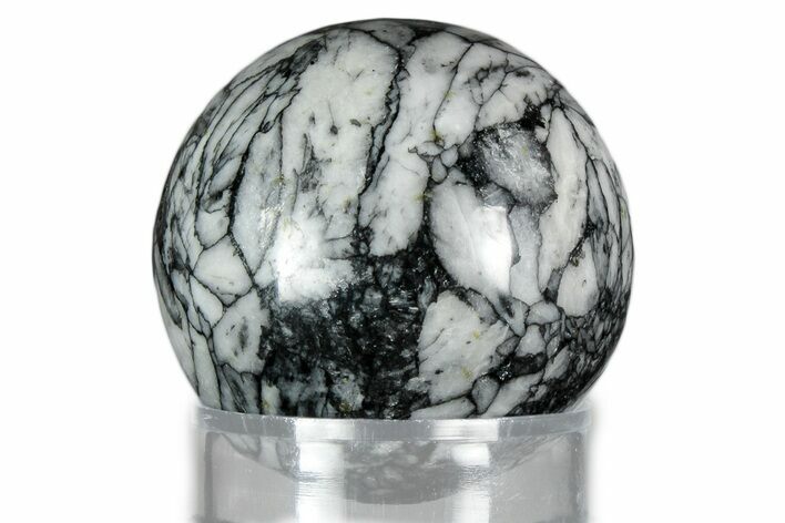 Polished Pinolite Sphere - Austria #343947